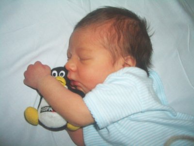 juan-tux.jpg