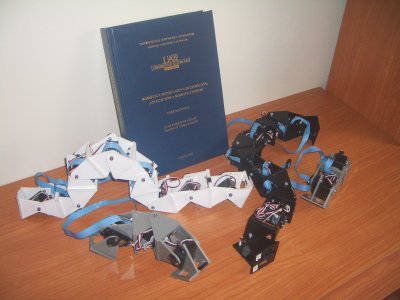 tesis-tomo-robots.jpg