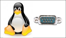 Tutorial-linux-serial.png