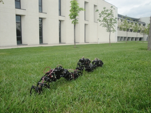 blog-snake-usar-1 blog-snake-usar-1