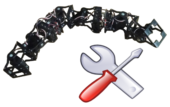 Training on modular snake robots